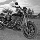 Harley Dyna FXDX Sport