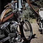 Harley F****** Davidson