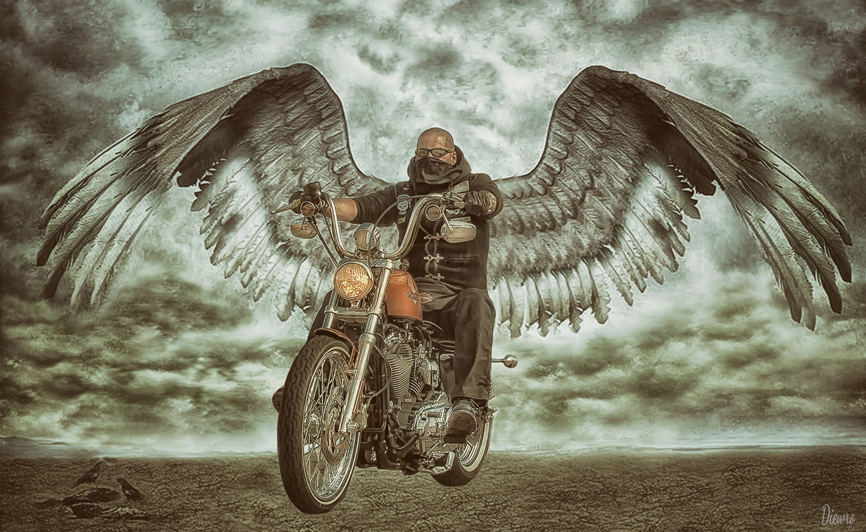 Harley gives you wings...