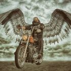 Harley gives you wings...