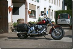 Harley im Sonnenschein