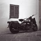 Harley in Rhodos