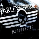 Harley Logo