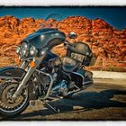 Harley @ Red Rock Canyon