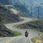 Harley - Ride, Hells Canyon, Idaho, USA