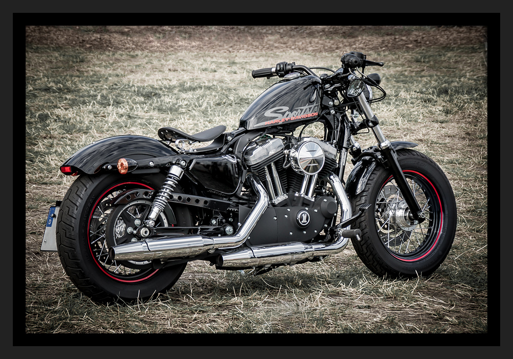 Harley Sportster 48