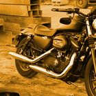 Harley Sportster 883