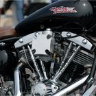 Harley-Treffen auf Sylt im Juni 2008 (8)