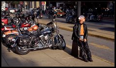 Harley Treffen