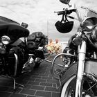 Harley-Treffen