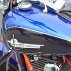 Harley Treffen Hamburg 2015 #18