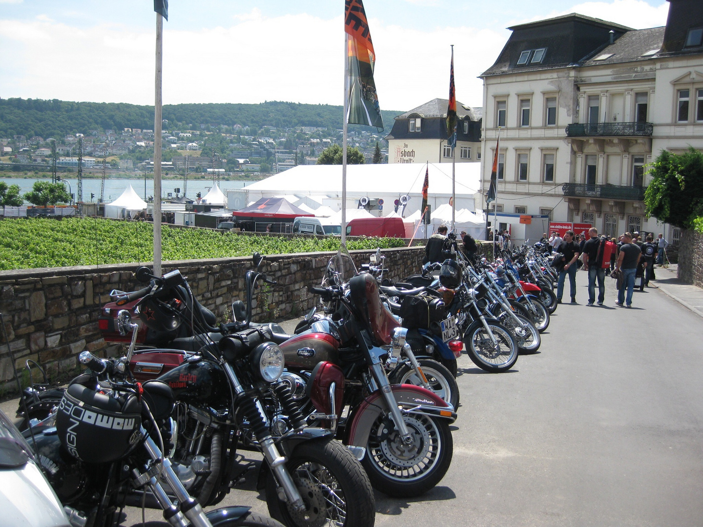 Harley Treffen in Rüdesheim Juni 2014