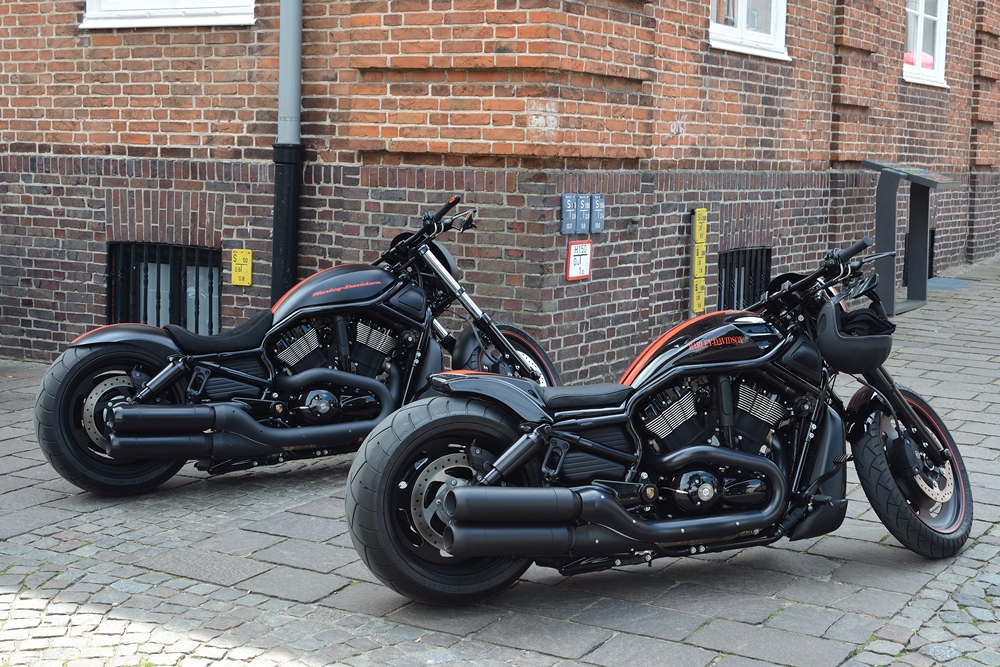 Harley V-Rod Sisters