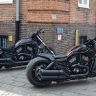 Harley V-Rod Sisters