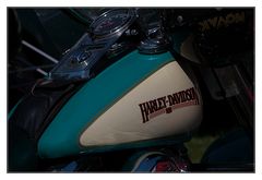 Harleydetail