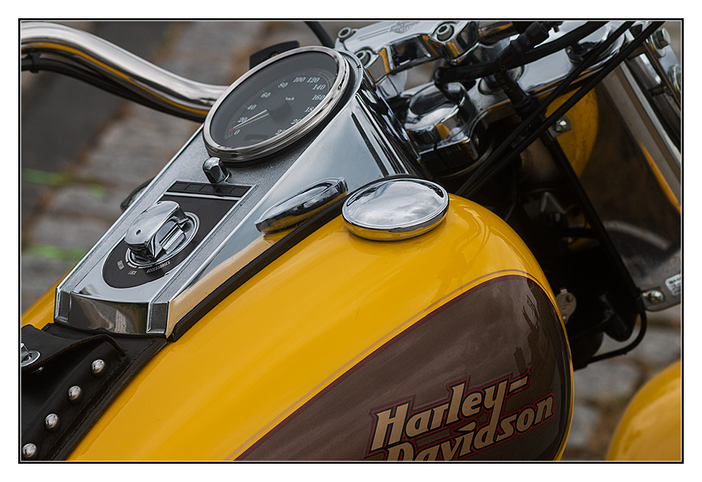 HarleyDetail