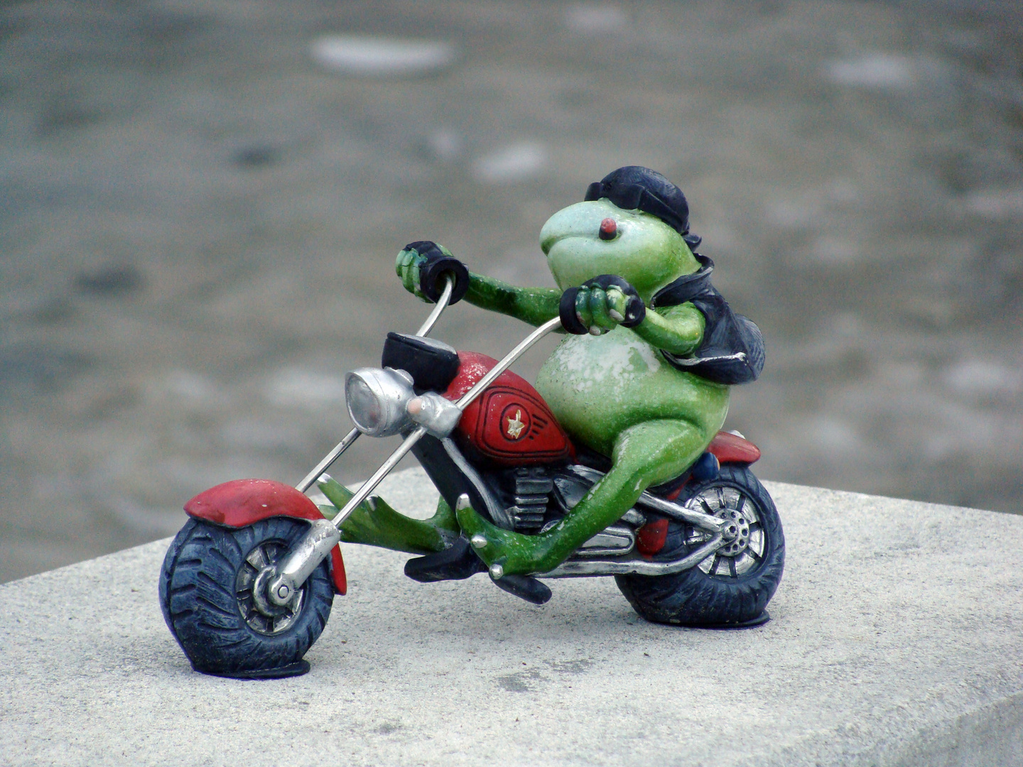 Harleyfrosch