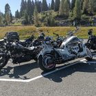 Harleys + V8 