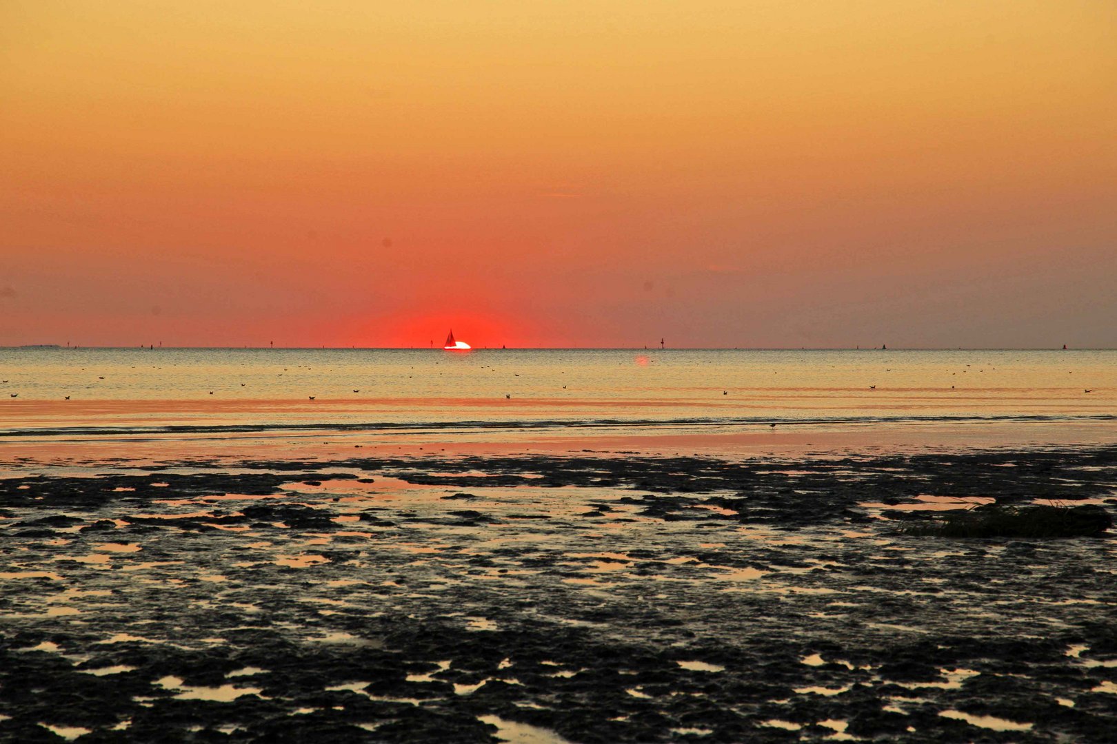  Harlingen Holland 