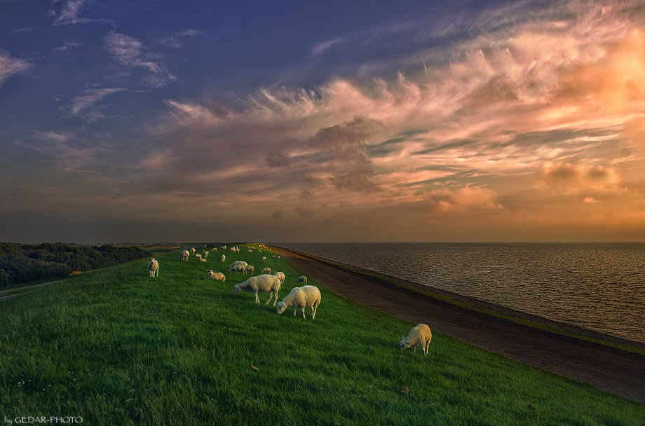 Harlingen - NL - Friesland