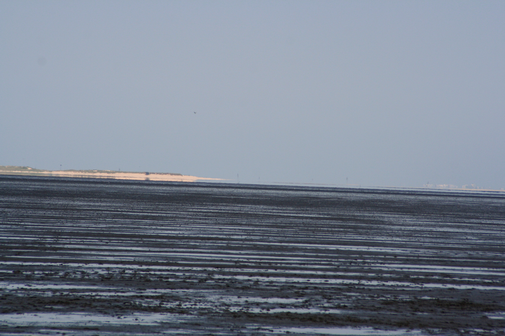 Harlingersiel bei Ebbe