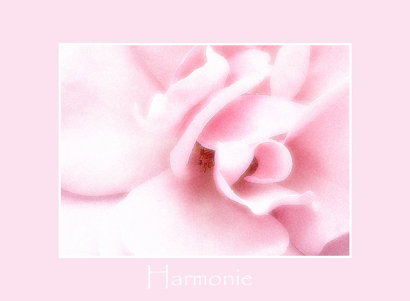 Harmonie