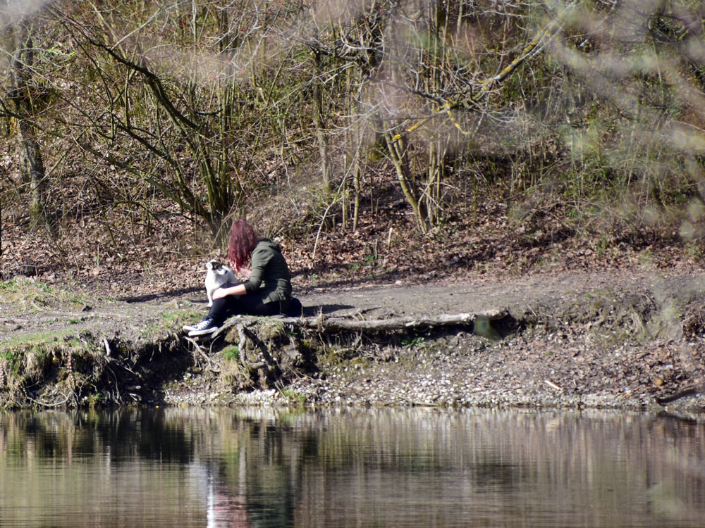 Harmonie am Wasser