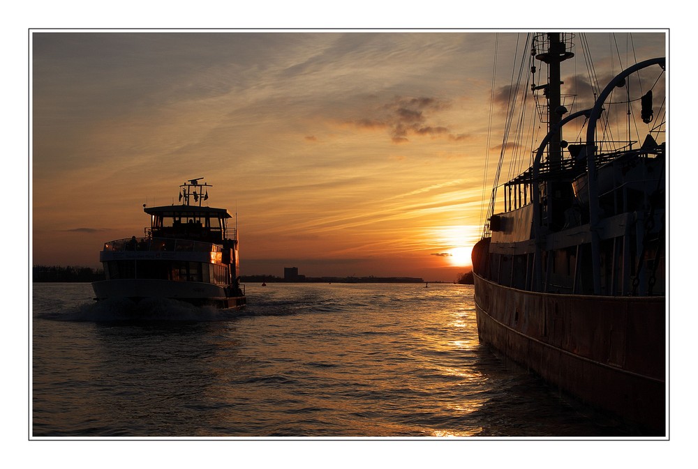 HARMONIE bei ELBE 3