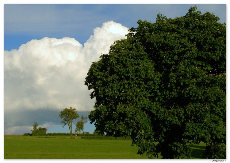 Harmonie et naturelle sérénité