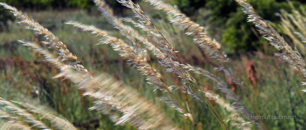 HARMONIE FÜR SEITENWIND, GEGENLICHT UND BEWEGUNGSUNSCHÄRFEN IN VERSCHIEDENEN ZUSTÄNDEN