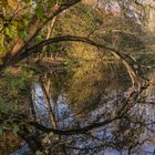 Harmonie - Hermann-Löns-Park/Hannover