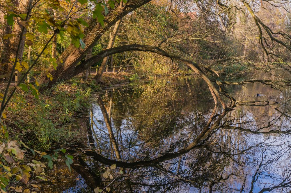 Harmonie HermannLönsPark/Hannover Foto & Bild landschaft, bach