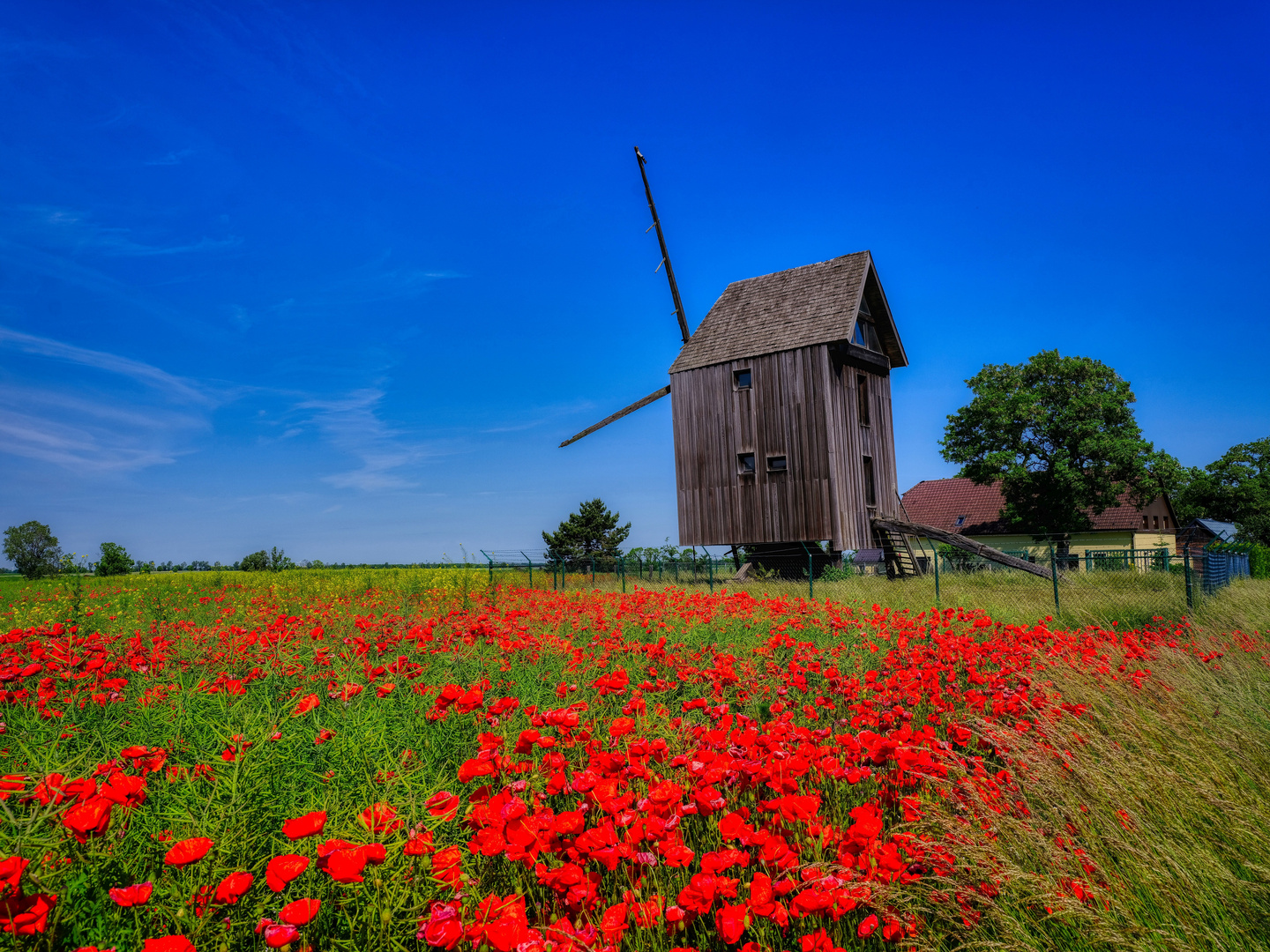 Harmonie in Blau-Rot 