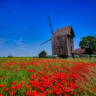 Harmonie in Blau-Rot 