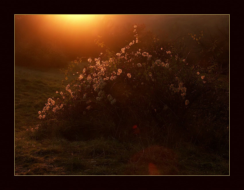 Harmonie in Licht