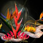 Harmonie mit tropischen Blüten
