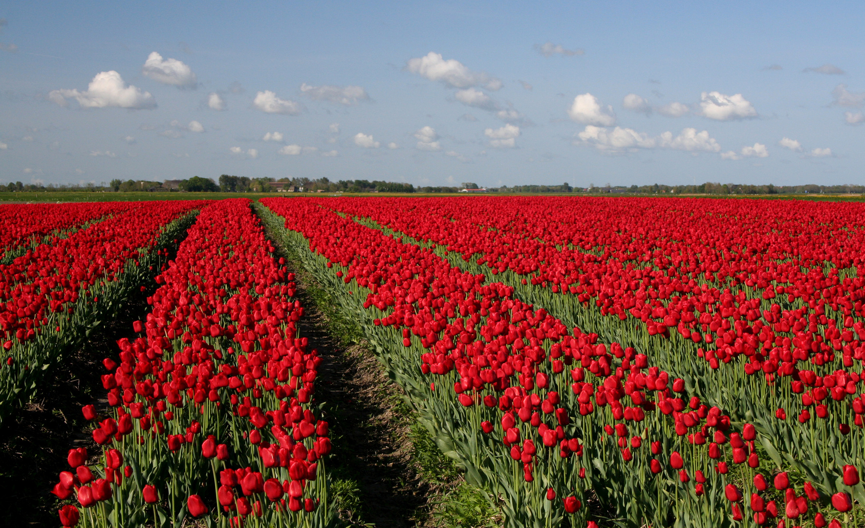 Harmonie tout en rouge.