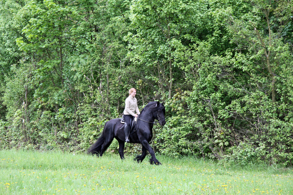 Harmonie und Freude