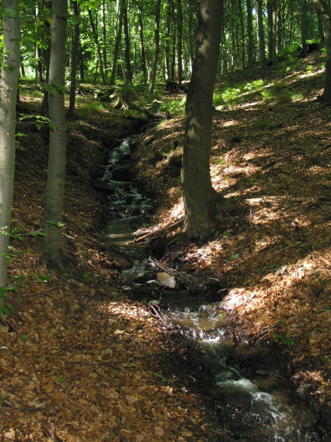 Harmonie von Farben und Licht