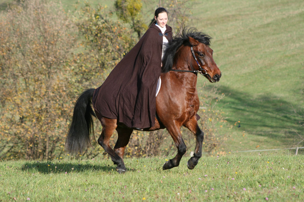 Harmonie zwischen Mensch und Pferd