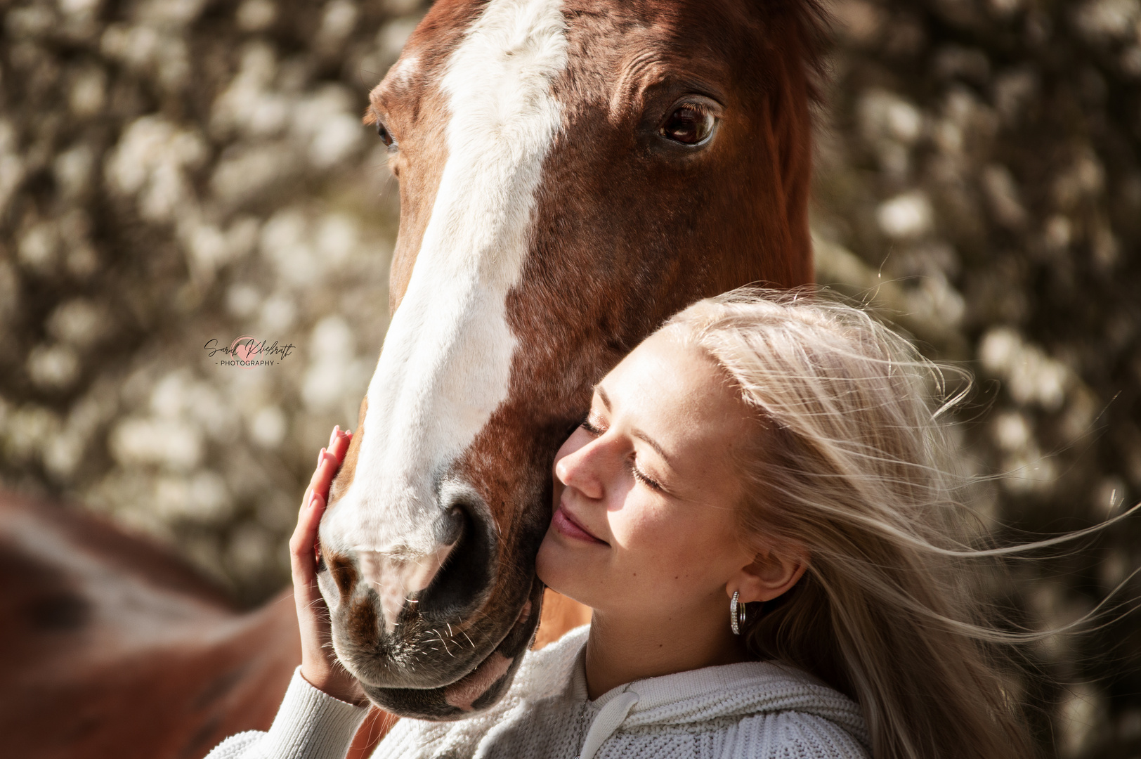Harmonie zwischen Mensch und Pferd