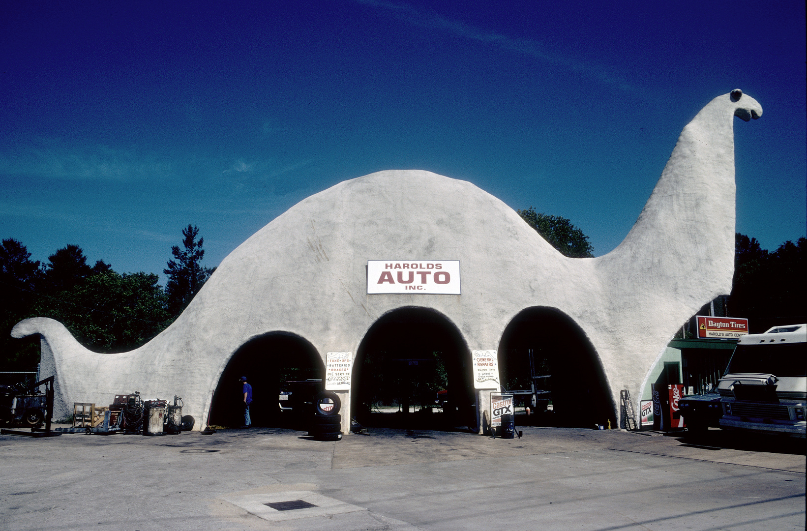 Harold's "Dino" Auto - Spring Hill, Florida, USA