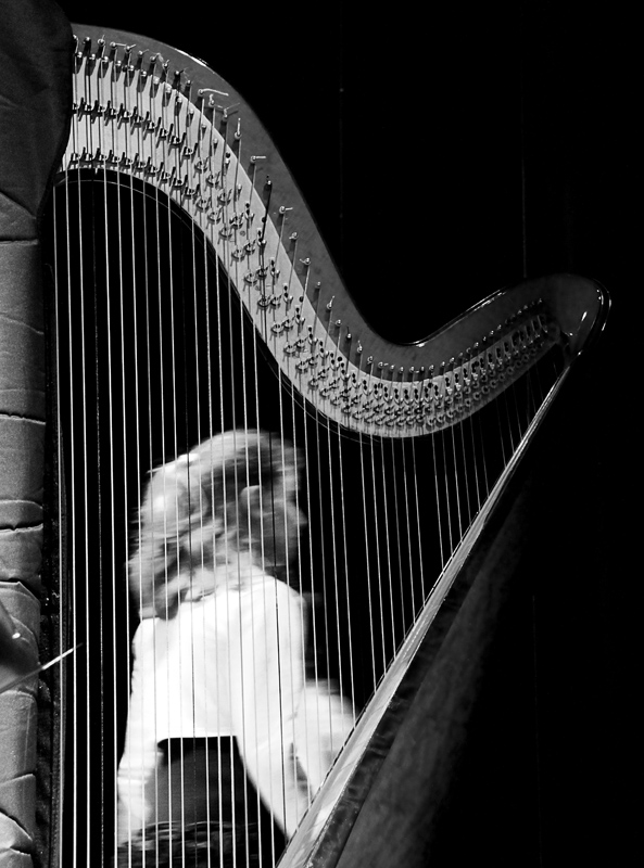 ...harp...