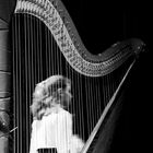 ...harp...