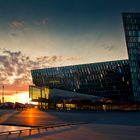 Harpa