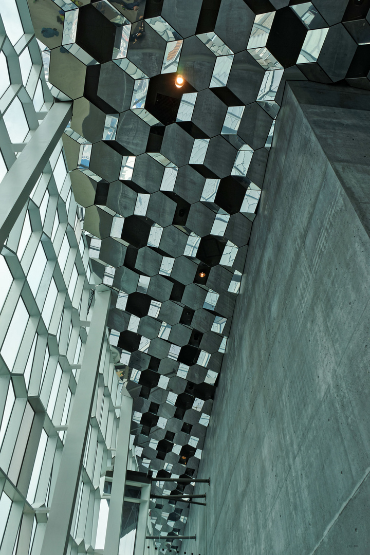 Harpa 3