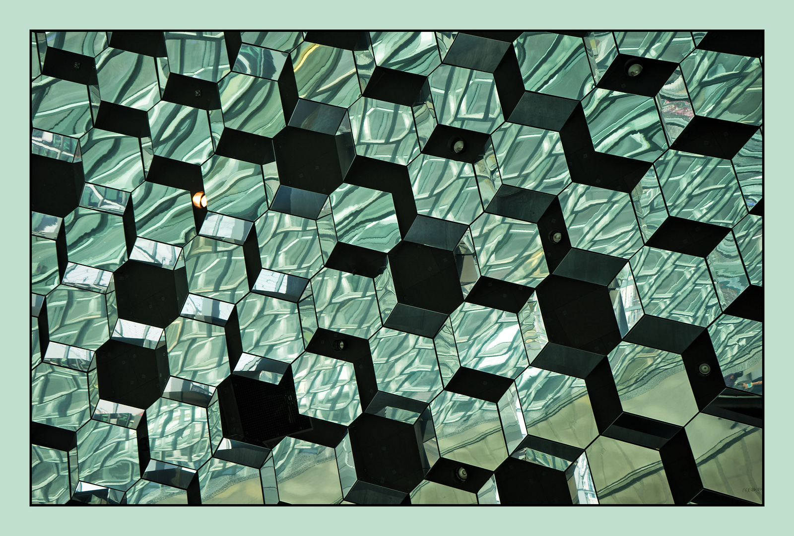 Harpa 4