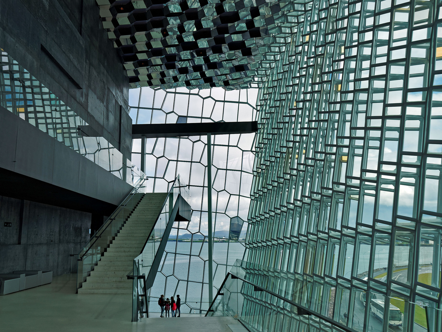 Harpa 6