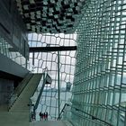 Harpa 6