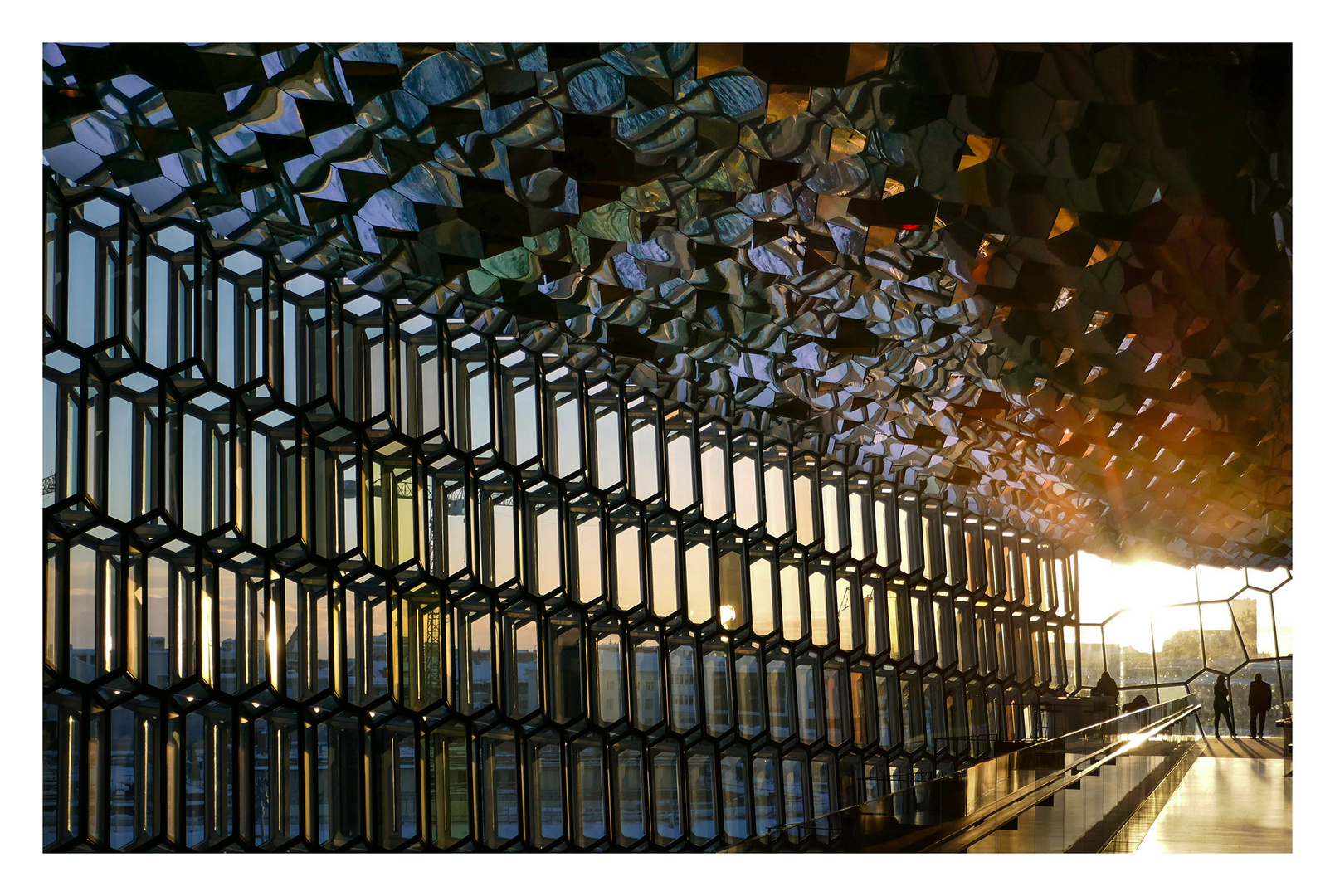 Harpa am Abend